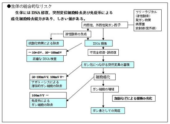 cc.jpgのサムネール画像