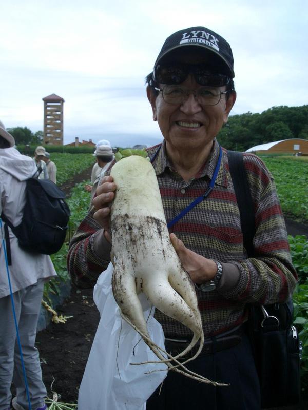 写真4-収穫したダイコン.JPG