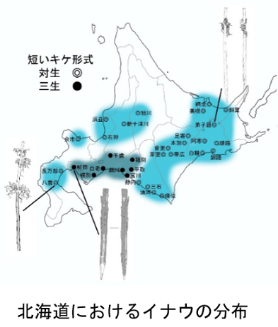 講座3『アイヌの側から見た北海道150年』 第2回「今日に受け継が