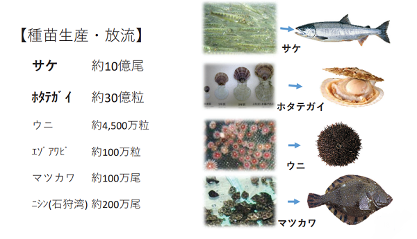 北海道漁業史 正・続（2冊） 北海道水産部 昭和32年、44年初版