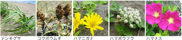 25,6,7-5.png
