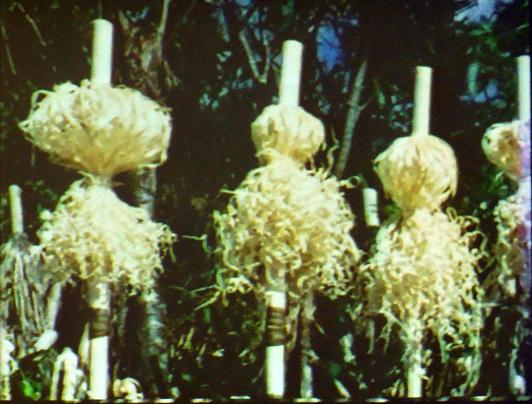 講座13 藤村久和さんが語る『アイヌの生活と文化』 第1回 「カムイノミ